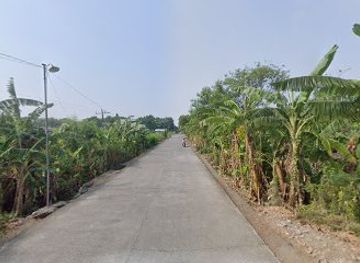 philippines/ilocos-norte/shop/surcvial-sari-sari-store