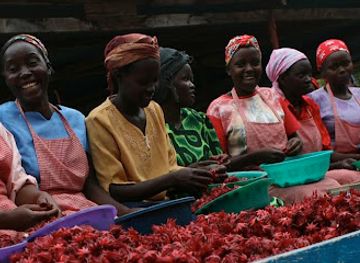 italy/rimini/shop/altromercato-rimini-bottega-pacha-mama-via-iv-novembre