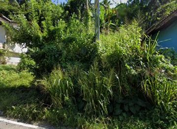 sri-lanka/kitulgala/shop/supun