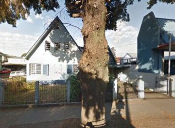 chile/osorno/shop/hojas-verdes