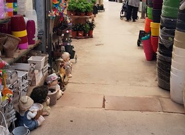 israel/galilee/shop/galilee-plants-garden-center