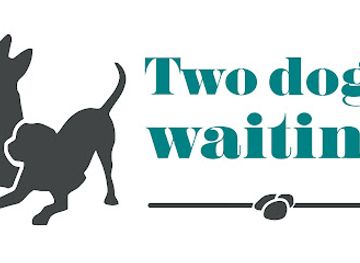 ireland/mizen-head/shop/two-dogs-waiting