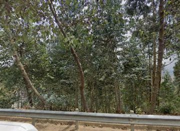 rwanda/gishwati-mukura-national-park/shop/birere-deogratias