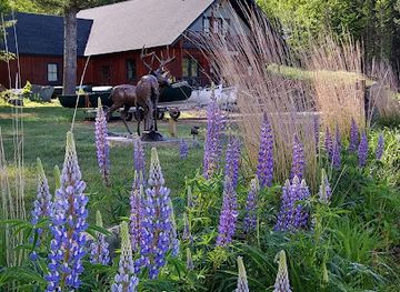 maine/rangeley-lake/shop/outdoor-heritage-museum