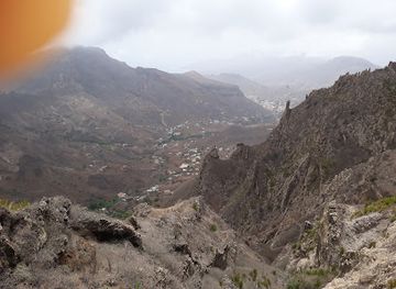 cabo-verde/sao-nicolau/shop/agros-racao-animal-e-produtos-agricolas-sociedade-unipessoal-lda