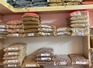 chile/la-serena/shop/neko-s-la-serena