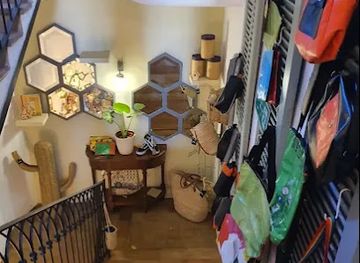 spain/serra-de-tramuntana/shop/laloca