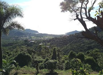 nicaragua/nueva-segovia-highlands/shop/finca-las-nubes