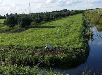 netherlands/betuwe/shop/bkc