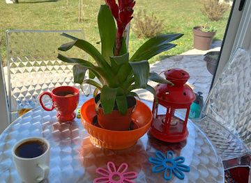 montenegro/savnik/shop/selo-sume