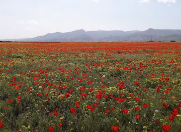 uzbekistan/nuratau-mountains/shop/nurota