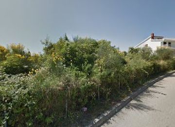 montenegro/ada-bojana/shop/franca-20