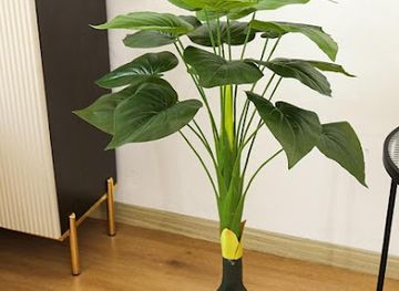 tanzania/dar-es-salaam/shop/jessie-unique-store