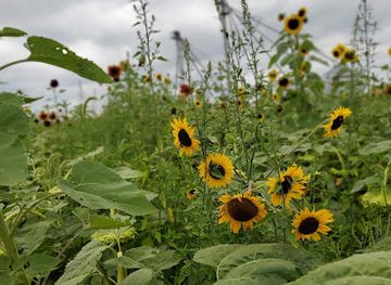 new-jersey/appalachian-trail/shop/lauber-s-country-market