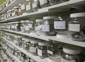 illinois/rockford/shop/cleo-s-aroma-pothecary