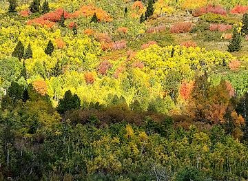 utah/snowbird-ski-resort/shop/snowbird-maintenance-shop