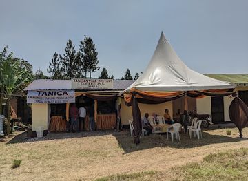 tanzania/bukoba/shop/kashai-matopeni