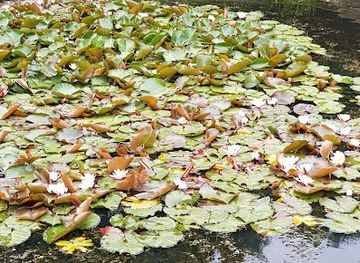 denmark/mon/shop/wedele-s-hus