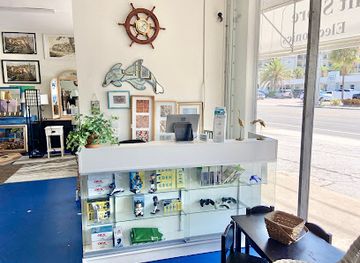 florida/st-petersburg-beach/shop/noah-s-ark