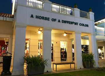 florida/naples-beach/shop/a-horse-of-a-different-color