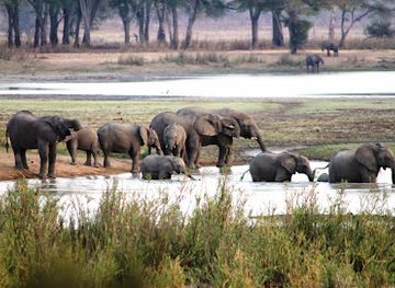 malawi/shire-valley/shop/vwaza-marsh-wildlife-reserve