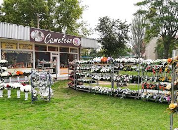 slovakia/nitra-region/shop/cameleon