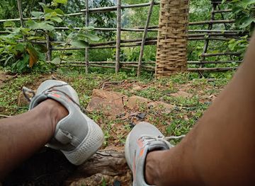 india/satpura-range/shop/satpura-jungle-safari