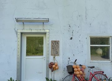 iceland/westfjords/shop/blomahornio-blomaskreytingarbjonusta