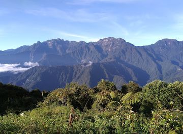 colombia/los-nevados-national-natural-park/shop/tatama-national-park