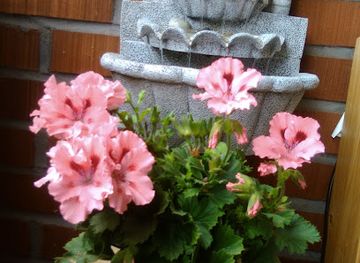 finland/lake-saimaa/shop/pulu-design-oy