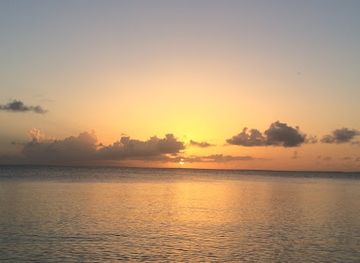 anguilla/maundays-bay/shop/cheddie-s-carving-studio