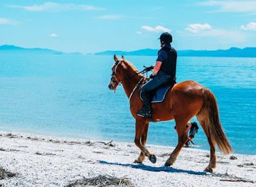 bulgaria/ruse/shop/ima-toys