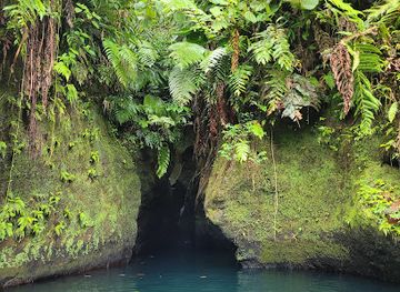 dominica/saint-luke/shop/titou-gorge