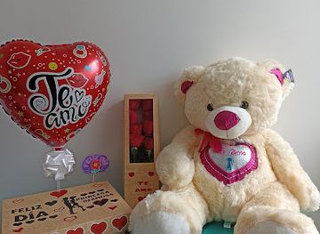 colombia/coffee-axis/shop/sanvisorpresas-desayunos-sorpresa-pereira