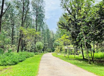 singapore/coney-island/shop/coney-island