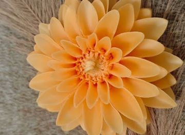 estonia/tartumaa/shop/honey-glow-candles