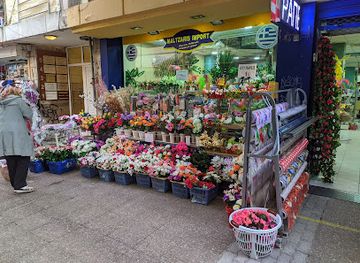 greece/larissa/shop/maltzaris-import