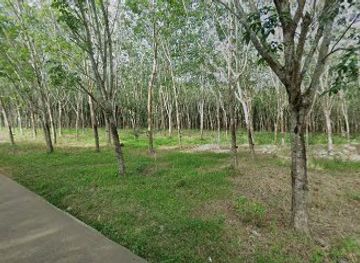 thailand/trat/shop/sixty-two