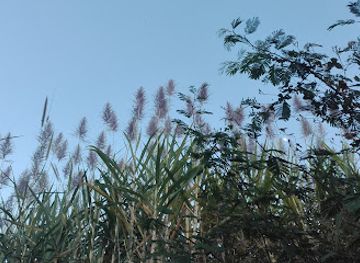 el-salvador/joya-de-ceren-archaeological-site/shop/agroservicio-joya-de-ceren