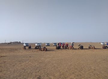 morocco/merzouga-region/shop/driss-fossils-and-minerlas-shop