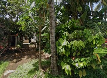 philippines/camiguin/shop/dagondon-babia-store