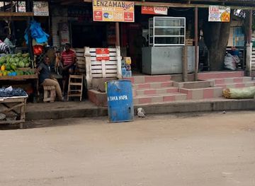 tanzania/ruaha-region/shop/lenzaman-shopping