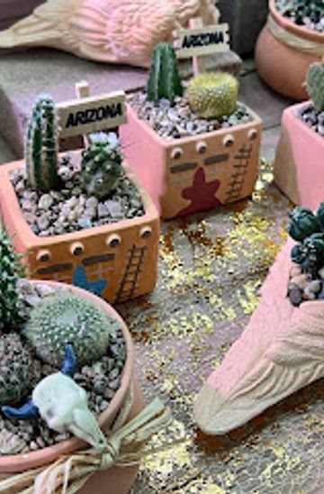 The Cactus Shoppe: A Unique Gift Shop Experience in Apache Junction