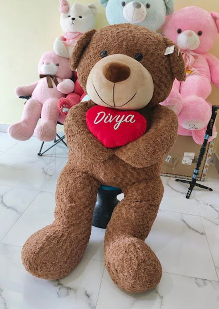 Teddyera