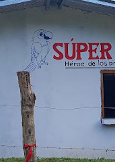 Super Loro