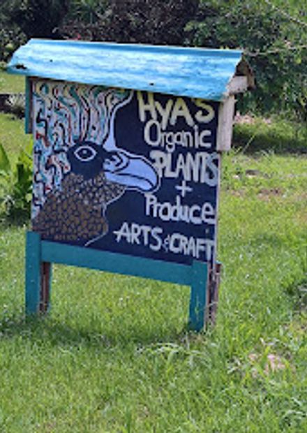 Hya's Organic Shop