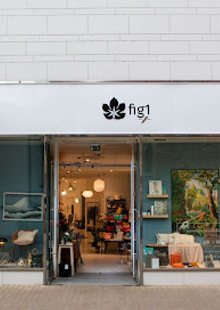 Fig1