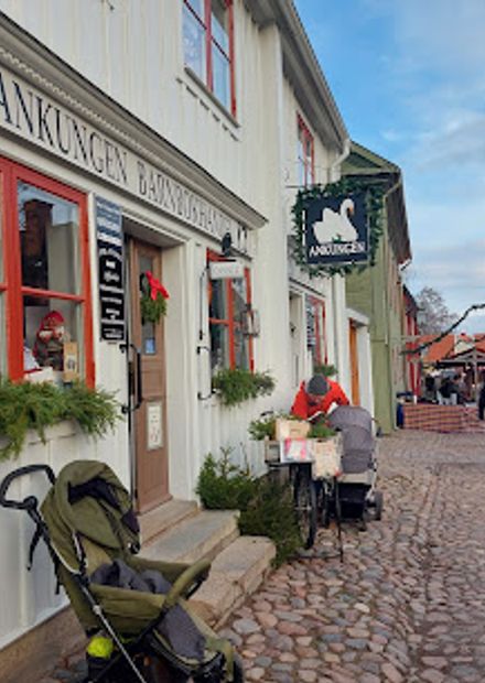 Ankungen i Linköping