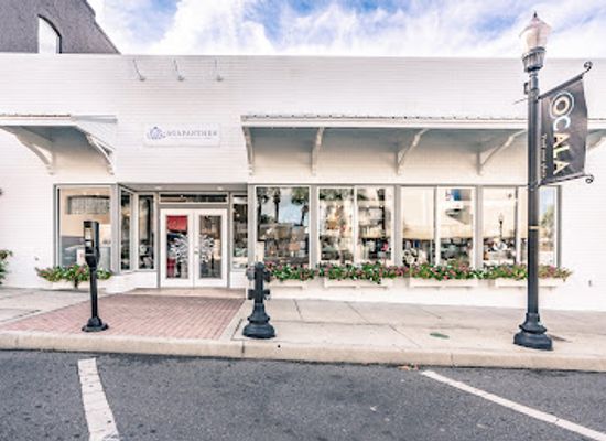florida/ocala/shop/agapanthus-ocala