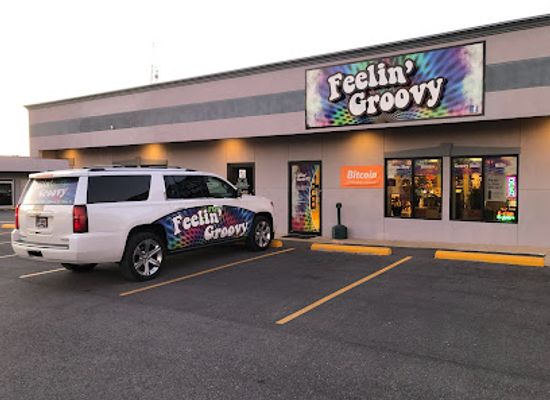 illinois/ferne-clyffe-state-park/shop/feelin-groovy